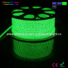 LED Flat Rope 3014 Blue Color Outdoor