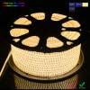 LED Flat Rope 3014 Blue Color Outdoor