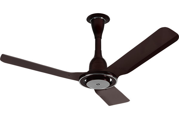 BLDC Fan by Orient Ceiling Fan