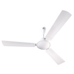 Ceiling Fans