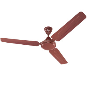 Eveready Fab Brown 48" Plain Ceiling Fan Eveready Fab Brown 48" Plain Ceiling Fan