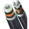 Armored LT Cables