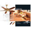 USHA Hunter Designer Savoy 52" Bright Brass Ceiling Fan